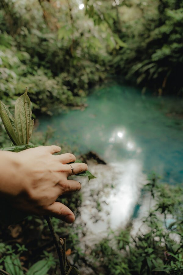 RIO CELESTE TOUR FROM LA FORTUNA - Image 6