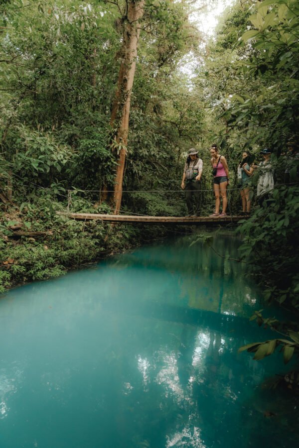 RIO CELESTE TOUR FROM LA FORTUNA - Image 7