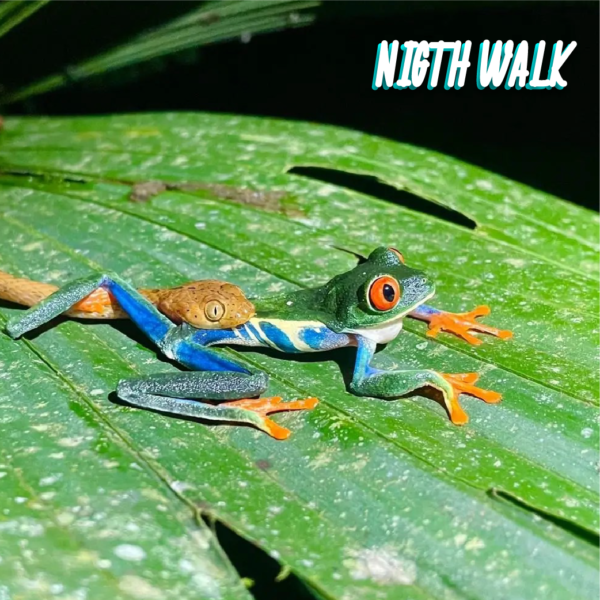 NATURE NOMAD • DORM ACOMODATION + TOURS - Image 4