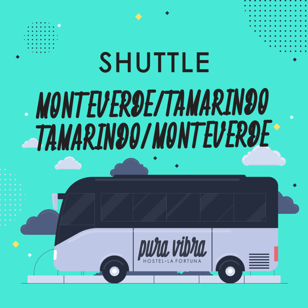 SHUTTLE MONTEVERDE - TAMARINDO / TAMARINDO - MONTEVERDE