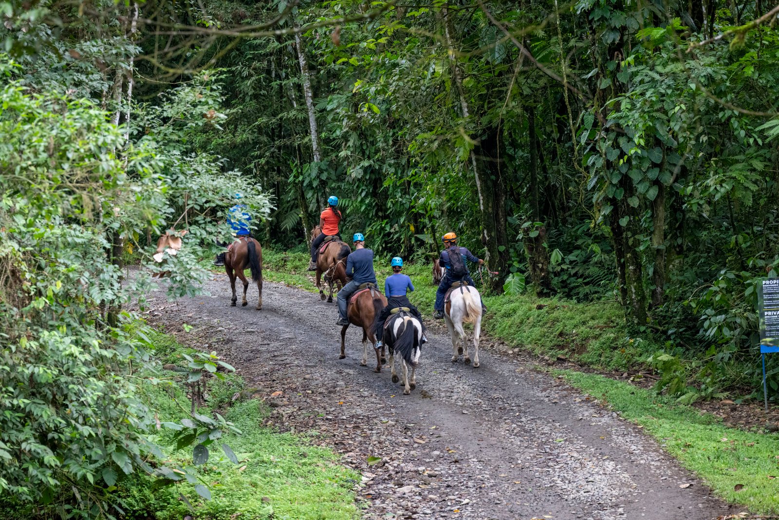 HORSEBACK RIDING TO LA FORTUNA WATERFALL - Image 2